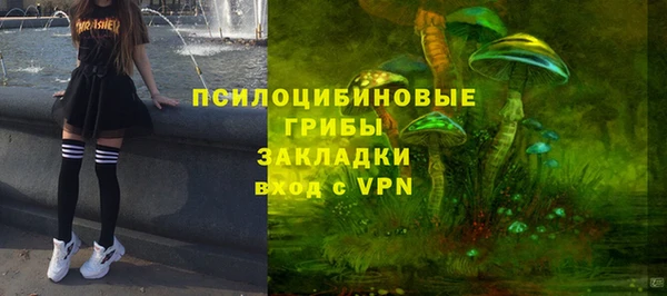 гашик Баксан