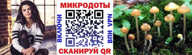 Галлюциногенные грибы MAGIC MUSHROOMS Пойковский