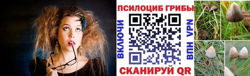 Галлюциногенные грибы прущие грибы даркнет сайт Пойковский